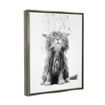 " Kitten Bathroom Splash "