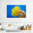 Brampt Yellow Feather Starfish-107847532