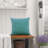 Supersoft Velvet Square Throw Pillow Cover-1465601352