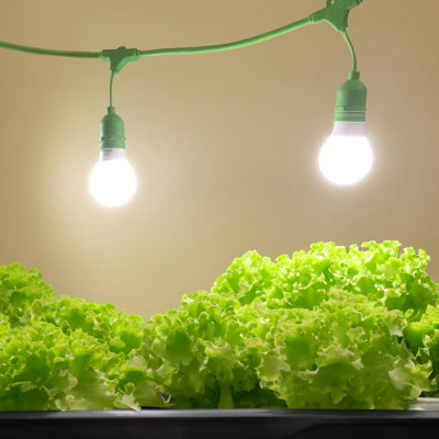 Miracle LED Full Lettuce Grow Light Kit