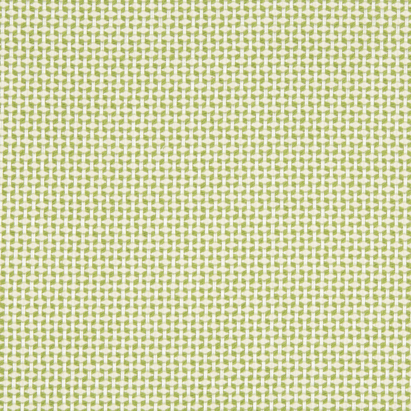 Guaranteed in Stock Cotton Blend Fabric, Green