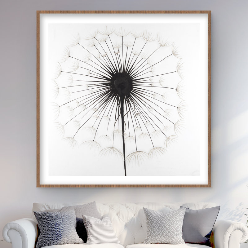 Dandelion - Monochrome Framed Matted Print for Home Decor