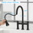 Rainlex Pull Down Kitchen Faucet-91870713