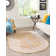 Saphira Chenille Oriental Indoor Rug