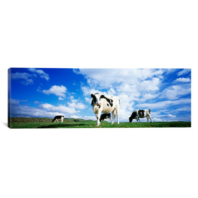 " Cows In Field, Lake District, England, United Kingdom " by Panoramic Images