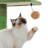 Ellamaria 90.2-108" Multi-purpose floor standing cat climbing tower with platform, adjustable height, toy ball, anti-tip design for cats up to 10 lbs.