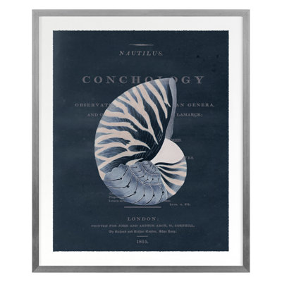 Conchology Nautilus par Porter Design - impression d'un seul cadre