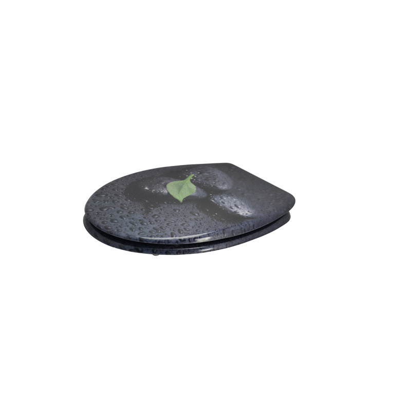 Soft Close Elongated Toilet Seat