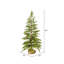 48'' H Green Most Realistic Cedar Christmas Tree-2096100288