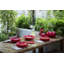 Tomato Earthenware Pasta Dish