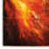 Edite Abstract Indoor Rug