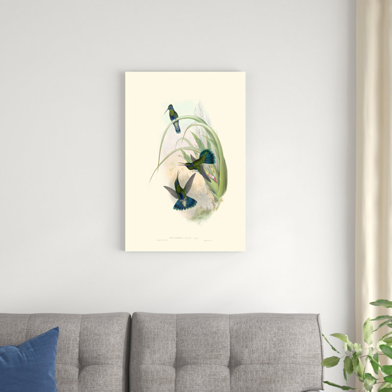 Hummingbird Delight VI, H 30 po x l 20 po x P 1,25 po