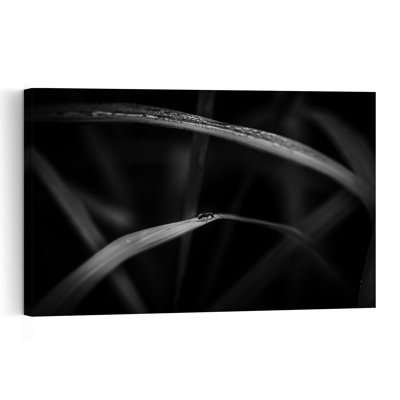Tiny Ant On Leaf Delicate Abstract Ant Nature Plant Wall Art Print 1 Piece Wrapped Canvas Wall Art