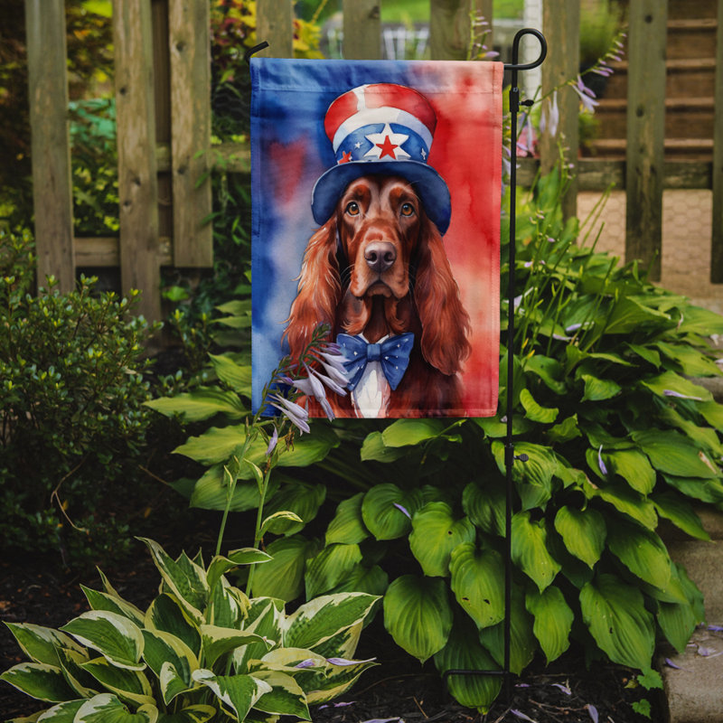 Drapeau patriotique du jardin américain, Setter irlandais
