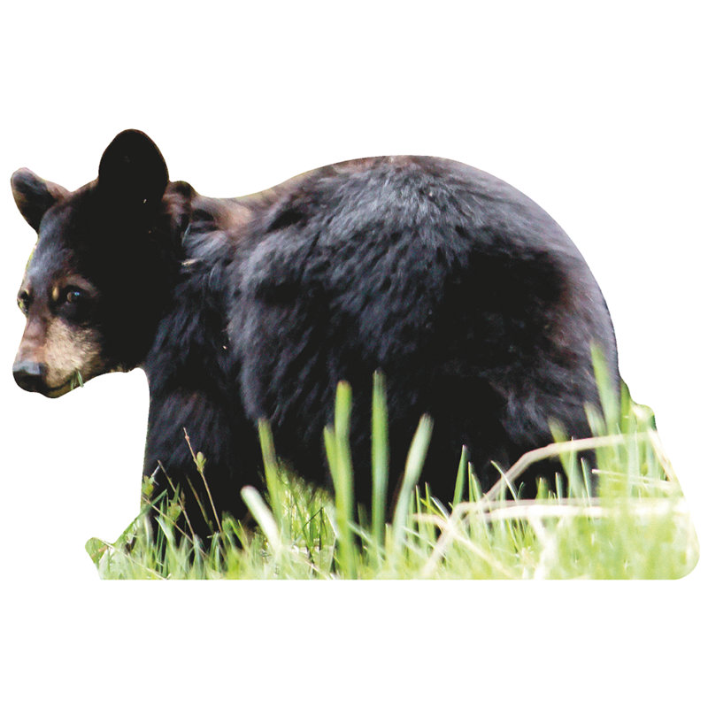 Life-Size Black Bear Cub Cardboard Cutout Standee