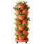 Pot à fleurs vertical à 7 étages avec poteau de soutien Strawberry-1693659594