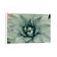 Mint Succulent I by Chelsea Victoria - Print-552063018-561792264