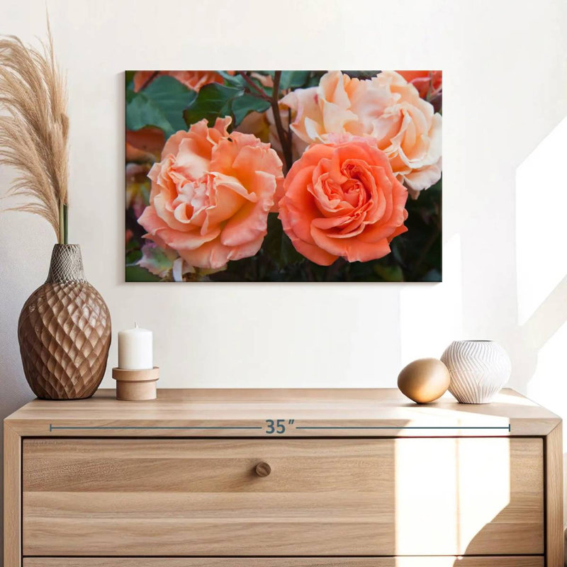 Roses hybrides orange Harnek, H 16 po x l 24 po