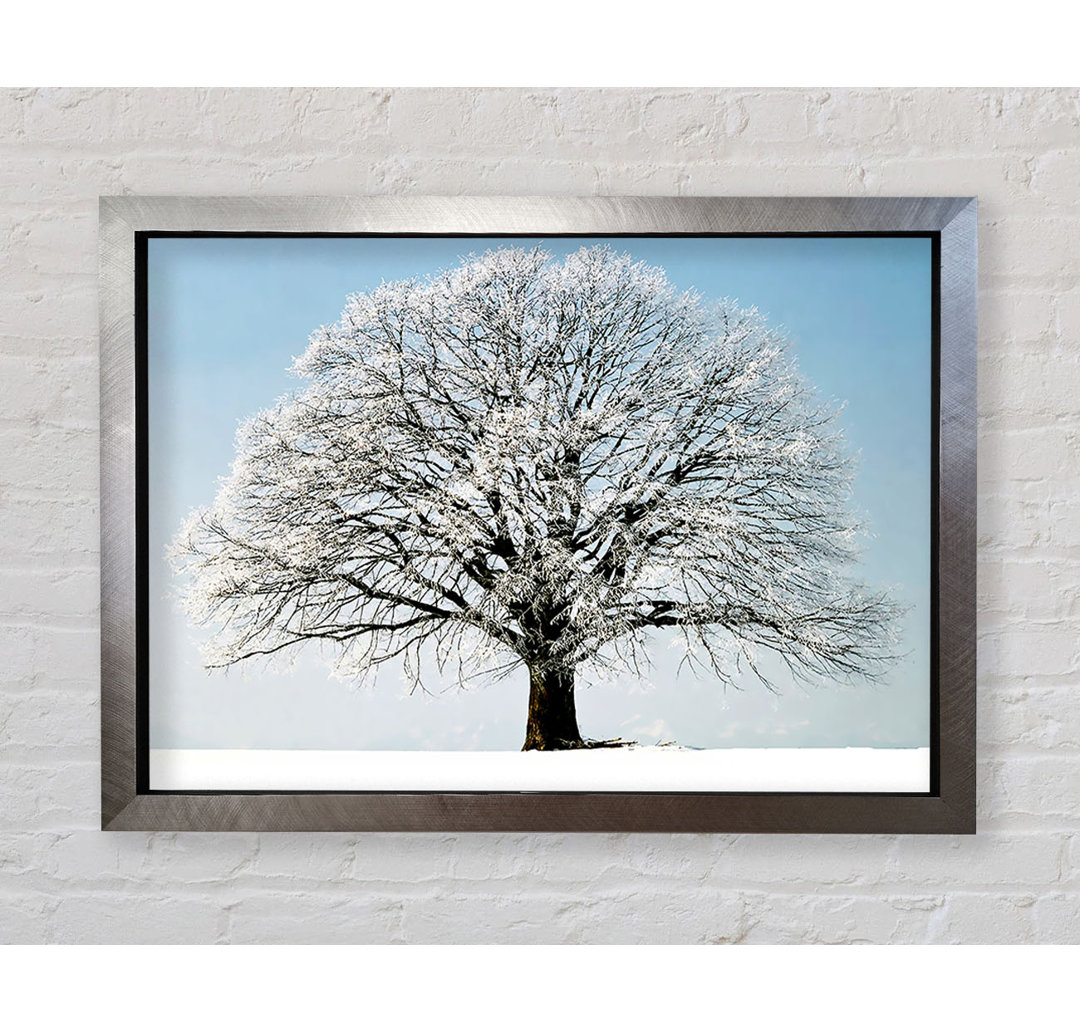 Snow Tree - Einzelner Bilderrahmen Kunstdrucke