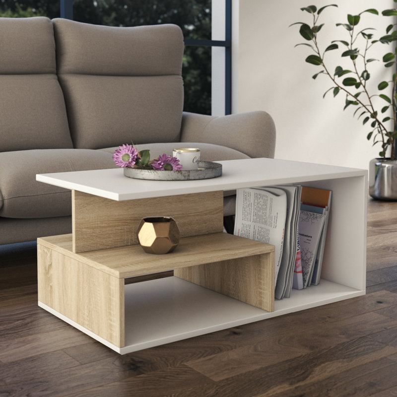 Cheston Floor Shelf Coffee Table with Storage, Sonoma/White