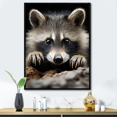 Animal raton laveur - reproduction d'art mural