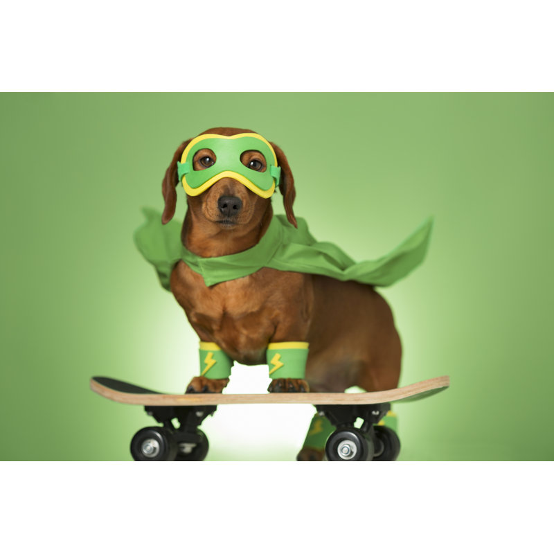 Chien masqué de super-héros par Mrpliskin, H 24 po x l 36 po