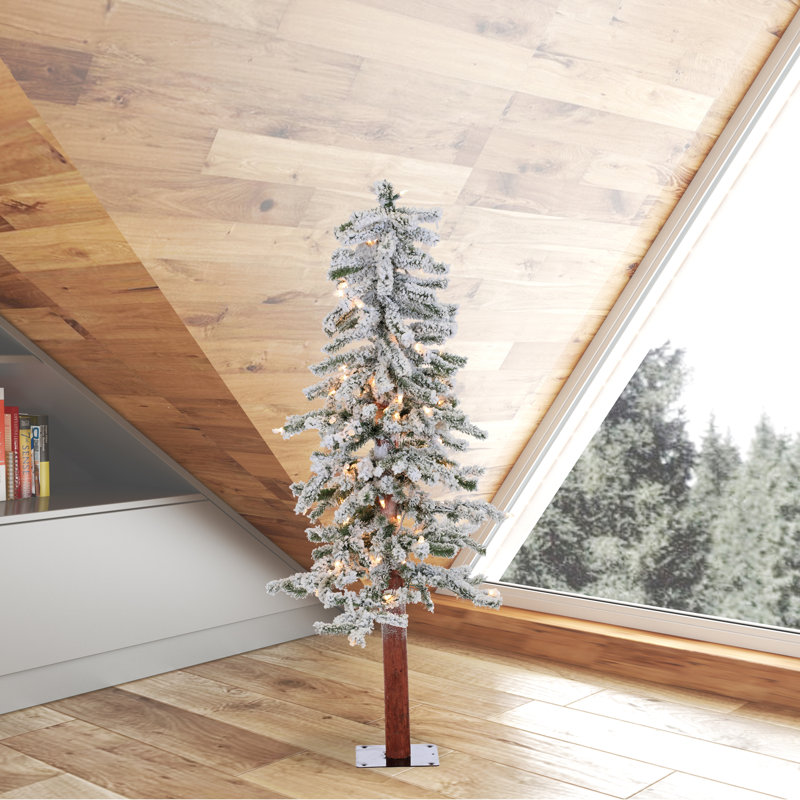 Higbee 4' Lighted Pine Christmas Tree