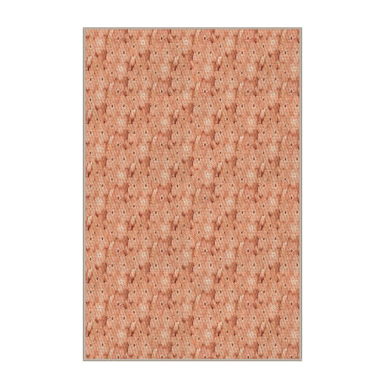 Indoor Rug