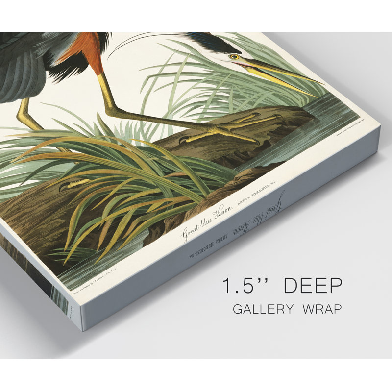 « Pl 211 Great Blue Heron », reproduction d’art sur toile tendue, H 48 po x l 32 po x P 1 po