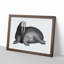 Walrus in Black & White by George Shaw - Picture Frame Drawing Print on MDF-55605476-55605477