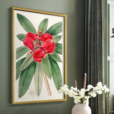 «Flora of the Tropics III», reproduction encadrée - bois massif