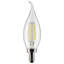 4 Watt LED Bulb