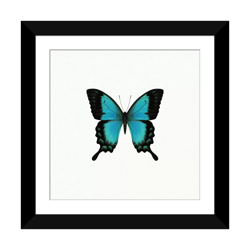 « blue papillon », impression sur toile tendue, H 24 po x l 24 po x P 1 po, Papier d'art encadré noir, Blanc