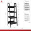 Rupert Ladder Bookcase-35101001
