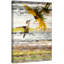 Parvez Taj - Wrapped Canvas Print-16673978