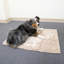 Napperon Perro & Gato-78370605-78370606