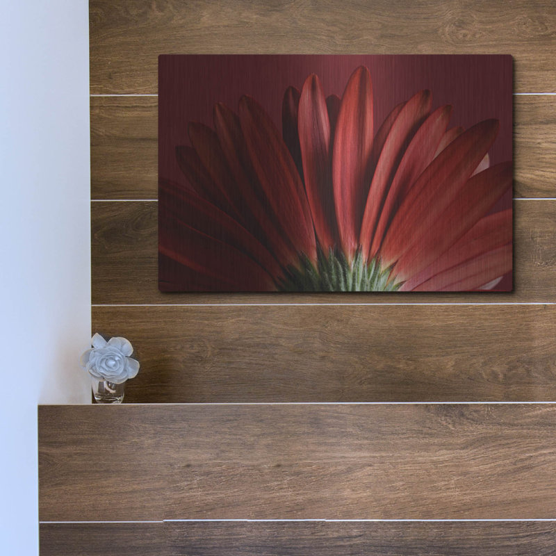Ebern Designs «Red Gerbera on Red 09» par Tom Quartermaine, art mural en métal, H 12 po x l 16 po