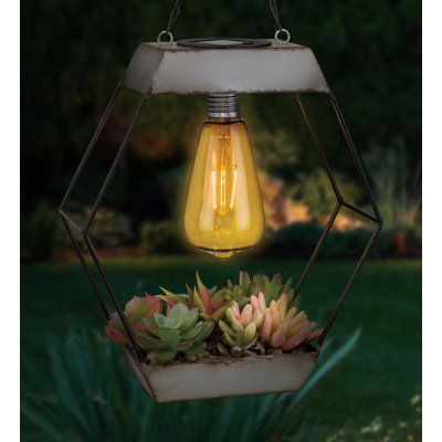 Lanterne solaire Edison Succulent - diamant