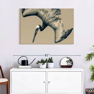 Flying Pelican