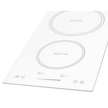 Kenyon 24 2-Burner Bridge Induction Landscape Electric Cooktop with T –  Grill Collection