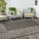 Mccoy Hooked Black/Beige Indoor/Outdoor Rug