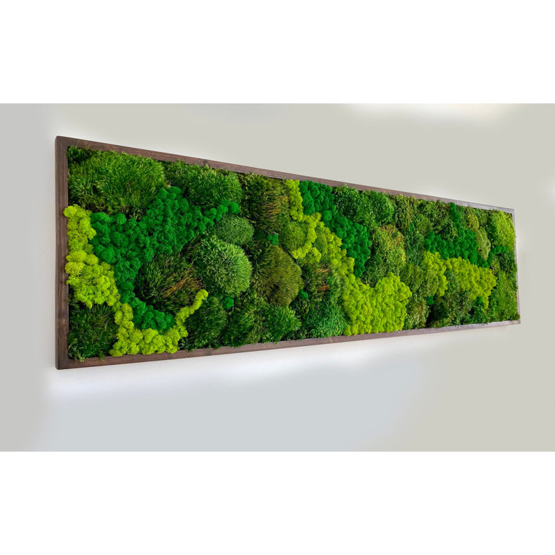 Symbiotikwalls Moss Art. Mur vert. Mousse préservée. Mur de plantes, H 70 po x l 22 po x P 2 po, Bois naturel