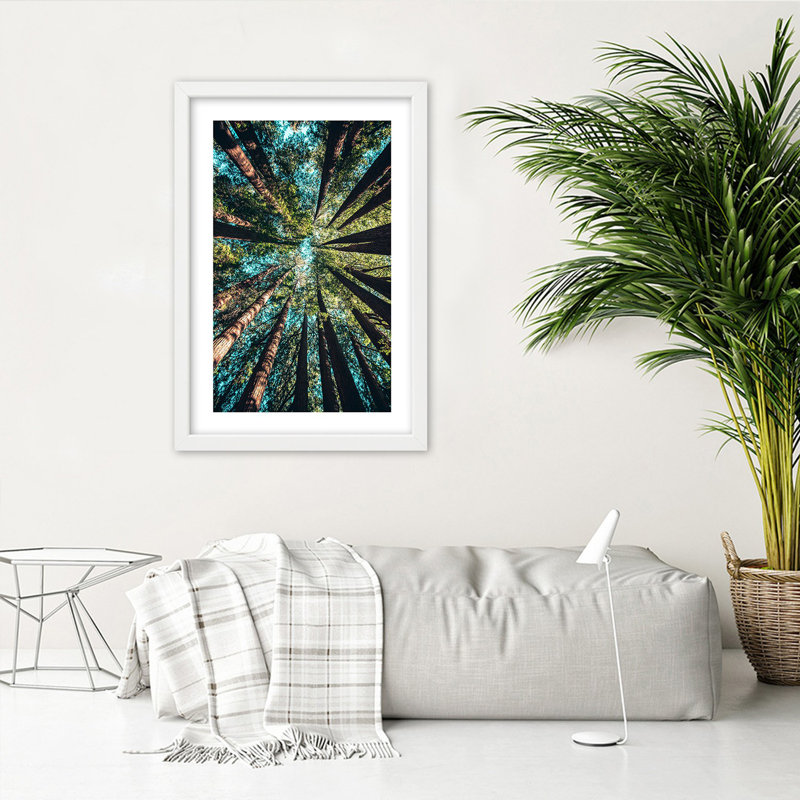 The Branches Of The Tall Trees - Single Picture Frame Print, 100cm H x 70cm W, White