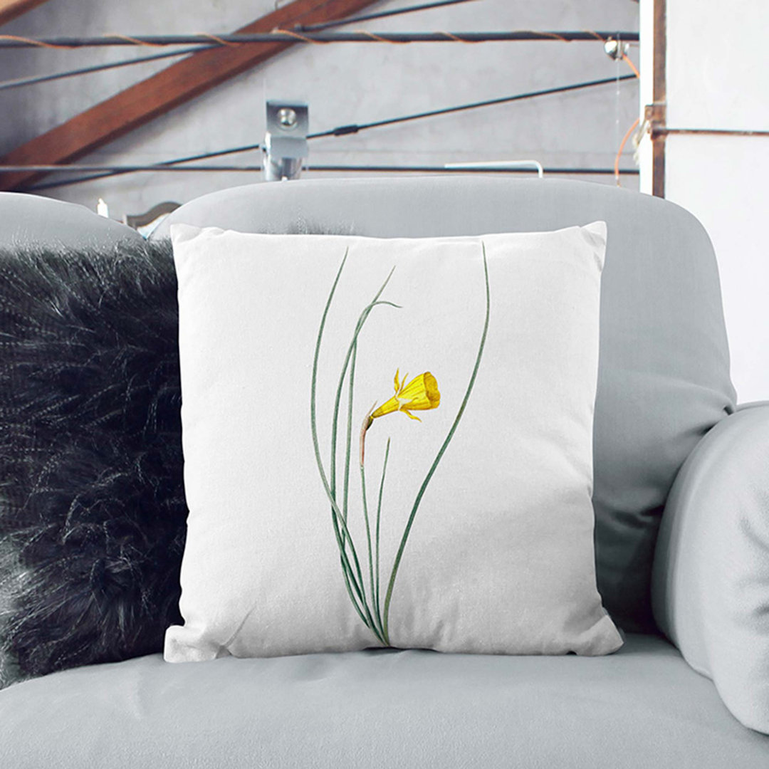 Daffodil by Pierre-Joseph Redoute Cushion with Filling