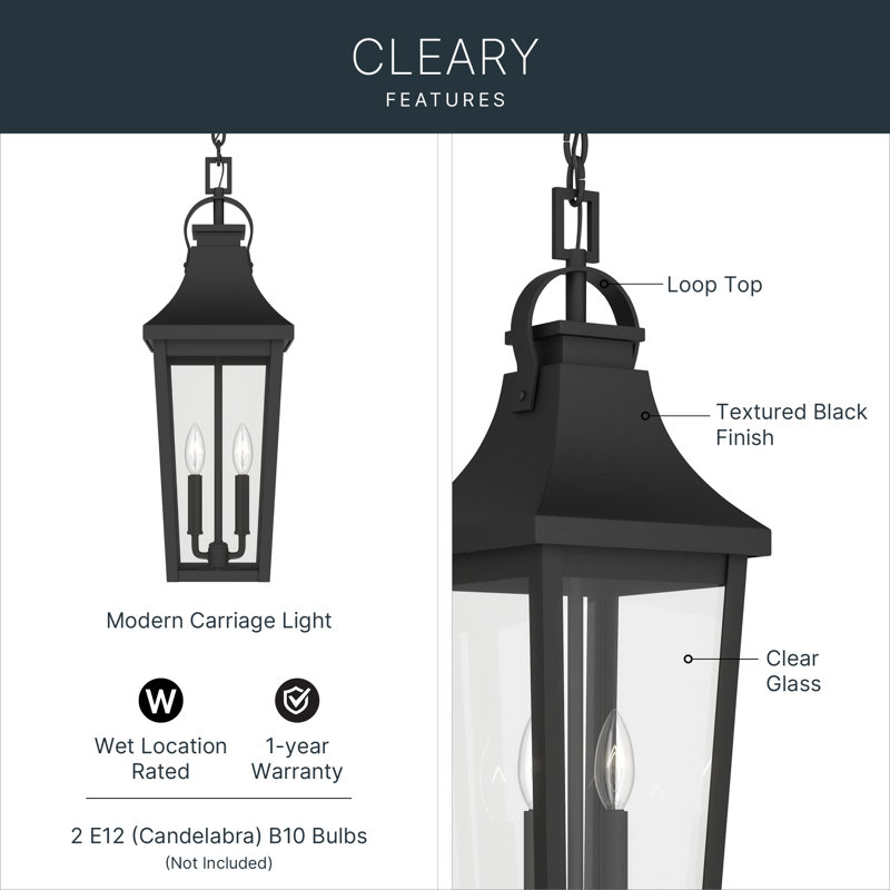 Cleary 24.75" 2-Light Outdoor Pendant with Clear Glass in Textured Black, Textured Black