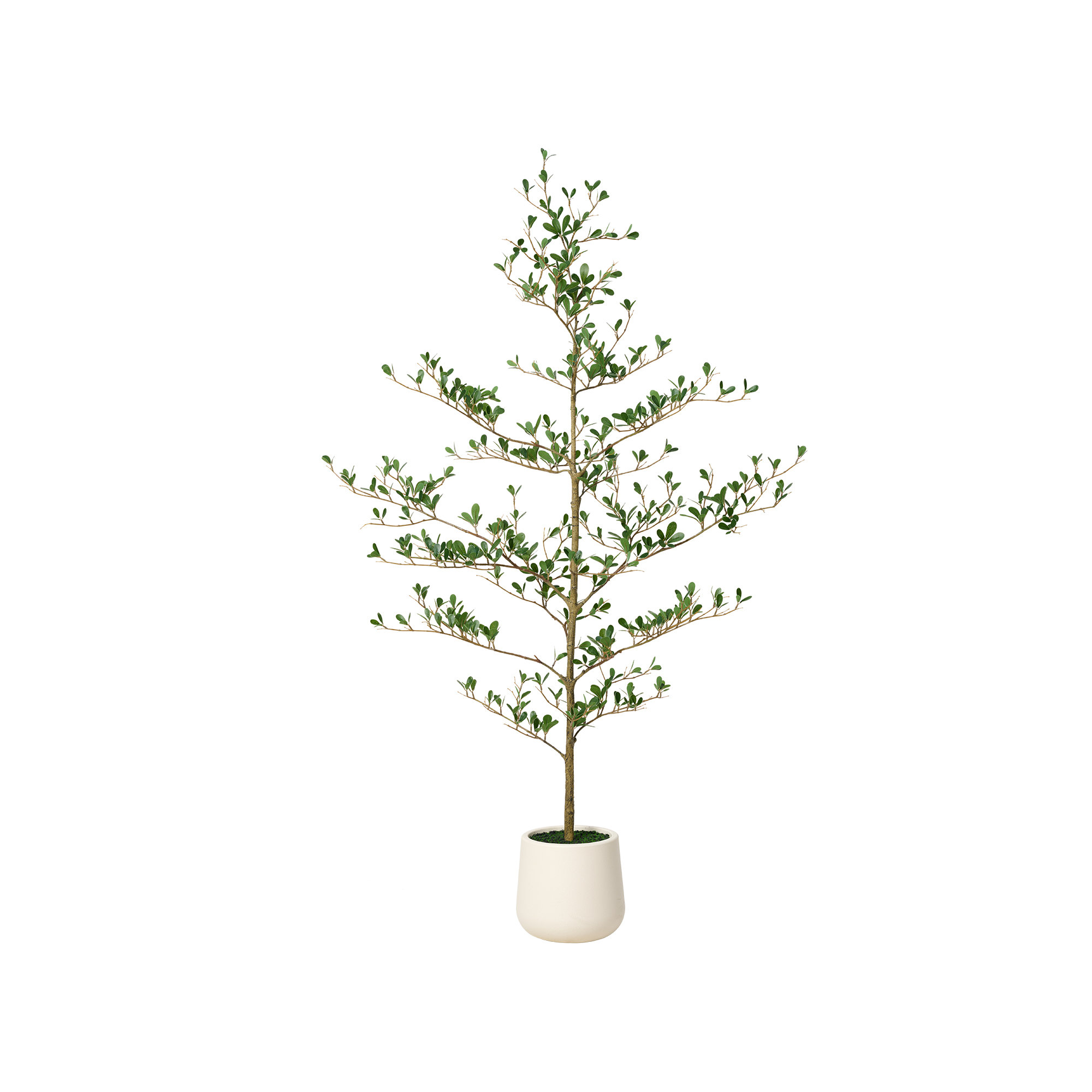 Adcock Faux Olive Tree, Fake Olive Tree with UV Protection for Indoor & Outdoor Decor, 60" H x 20" W x 20" D