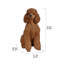 Statue caniche assis-935637463