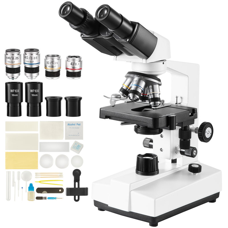 Compound Microscope