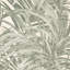 Boutique Congo Forest Wallpaper-126305355