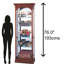 Brickey Lighted Curio Cabinet